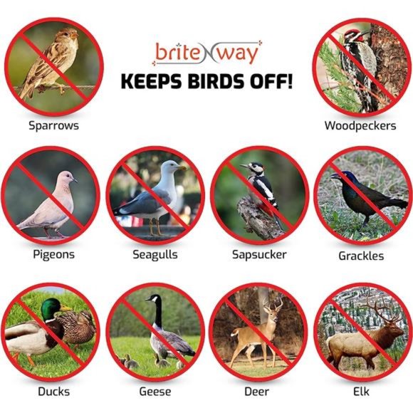 Premium Quality Bird Deterrent Reflective Scare Tape Ribbon 350 ft Long - Picture 4 of 6